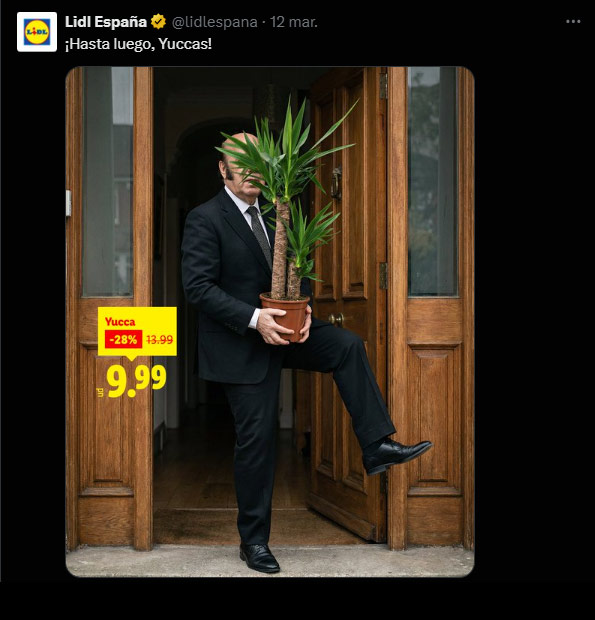 ¡Hasta luego, Yuccas!